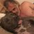 Mark Eminger's profile image