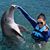 Carey Wettstein's profile image