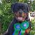 Kim Shaffer's profile image