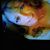 Vikki Lyn D'Angelo's profile image