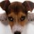 Kenneth Tedlock's profile image