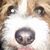 Wally Quick's profile image