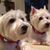 Judy Mitchell's profile image