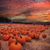 Dolores Ann Maines Murtha's profile image