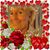 Sylvia Pietrogiacomo Amoroso's profile image