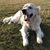 Cheryle Kahl's profile image