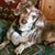 Janet Kelley Slatina's profile image