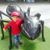 Esau Bansi's profile image