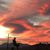 Natalie G Taber's profile image