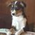 Susan Harris's profile image