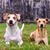 Lisa Reinke Rockefeller's profile image
