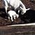 Teresa Luessen's profile image