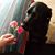 Gloria Glorianna Ruelas Anaya's profile image