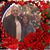 Maria Diaz's profile image