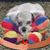 Nikki J Lewis's profile image