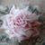 Margarita Lopez's profile image