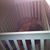 Debbie Johnston Marlowe's profile image
