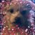 Bethany Cmar's profile image