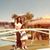 Teresa Saez Correa's profile image