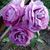 Donna Abee Carswell's profile image