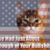 Joe Marroquin's profile image