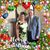 Loraine Reid's profile image