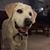 Judy Morrash Muskauski's profile image