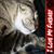 Aria Leitner's profile image