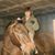 Shanon Lansdowne's profile image