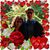 Pam Riley Maehr's profile image