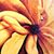 Kathryn Nicholas's profile image
