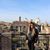 Carolina Castillo's profile image
