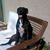 Holly Torrez's profile image