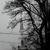 Andrea Bertram's profile image