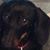 Nedra Brown Heath's profile image