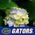 Sharon Fulcher Weber's profile image
