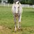 Deon Irene's profile image