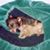 Betty J Daniell's profile image