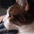 Debbie Leavins's profile image