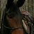 Shelley Lavigne's profile image