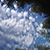 Dawn Imada's profile image