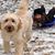 Tammy Aldrich Covington's profile image