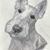 Steve Stanfill's profile image