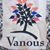 Cindy Vanous's profile image