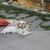 Kathy Landis's profile image