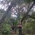 Kathy Wieneke Wismer's profile image