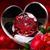 Tammy Tarvin's profile image