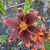 Betsy Parker's profile image