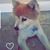 John Sabedra Jr's profile image