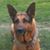 Kerry Burton Sr.'s profile image